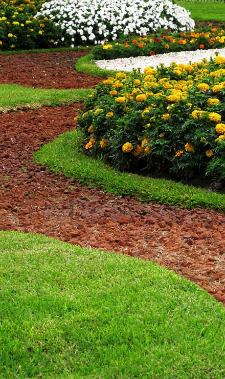 Cut Ups Lawn Service Inc Landscape Architecture