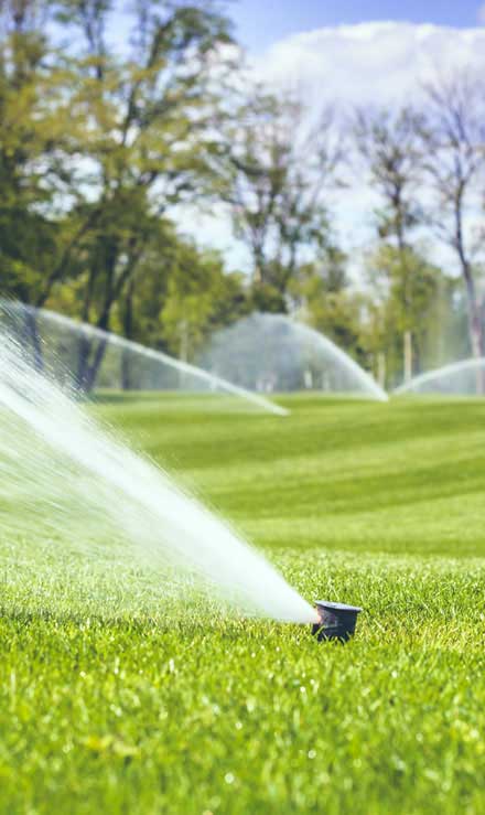 Cut Ups Lawn Service Inc Sprinkler Installation