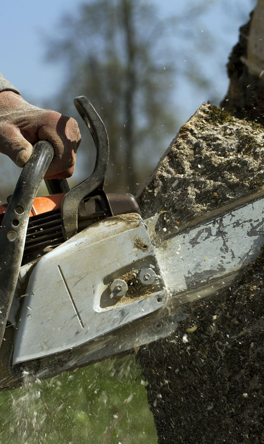 Cut Ups Lawn Service Inc Emergency Tree Removal